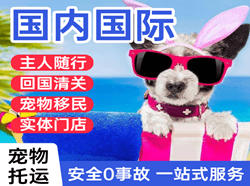 延吉朝阳川国际宠物托运 【国